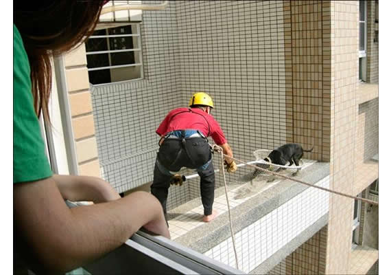 救動物