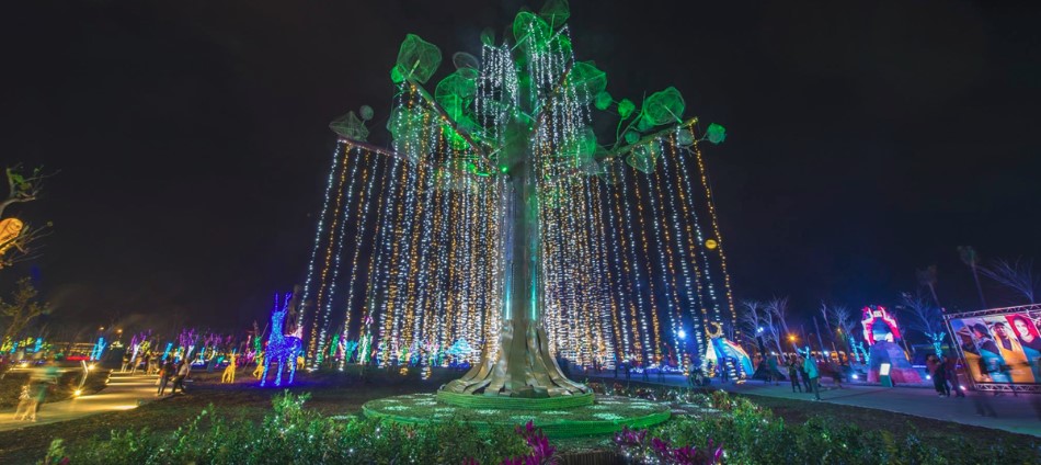 台灣燈會好評一面倒　網友最感動的其實是這片「最美風景」