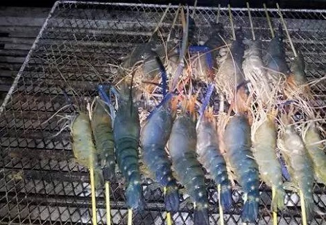 釣蝦場的蝦到底能不能吃？鄉民專業分析給你聽！
