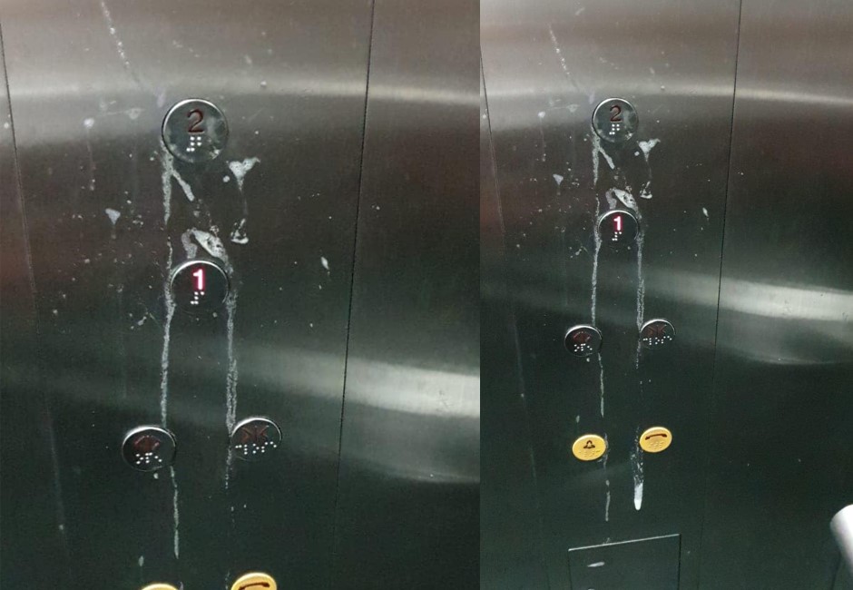 新加坡3「屁孩」惹大禍！向電梯按鈕吐口水恐關2年