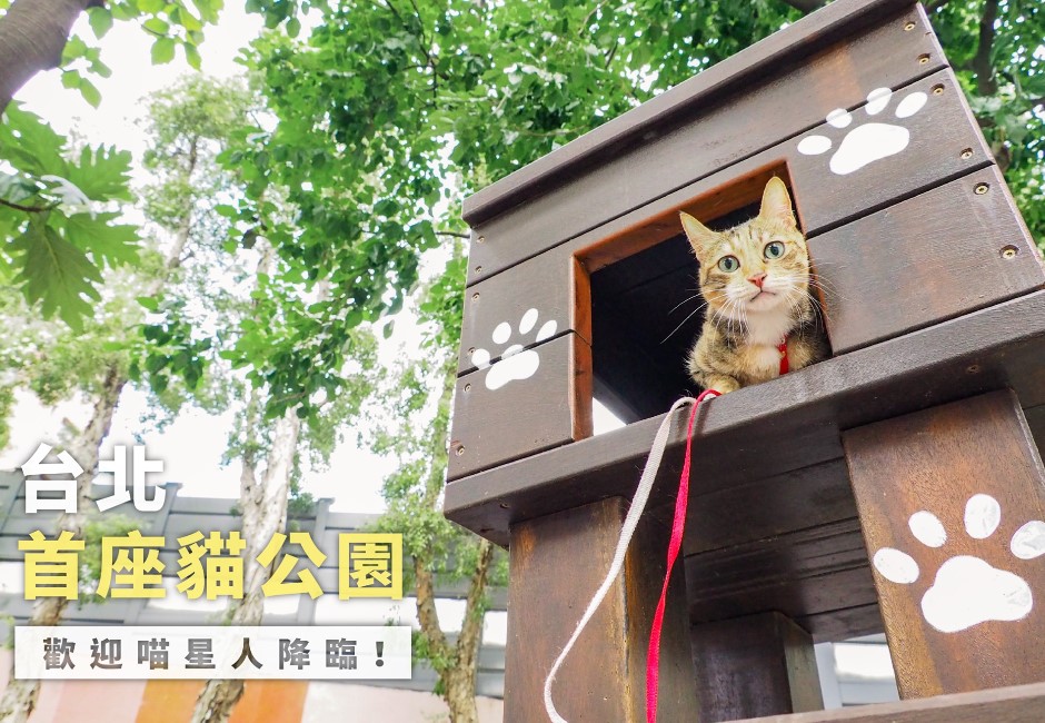 台北首座「貓公園」落成宣傳惹議　動保處緊急澄清：是貓造型公園