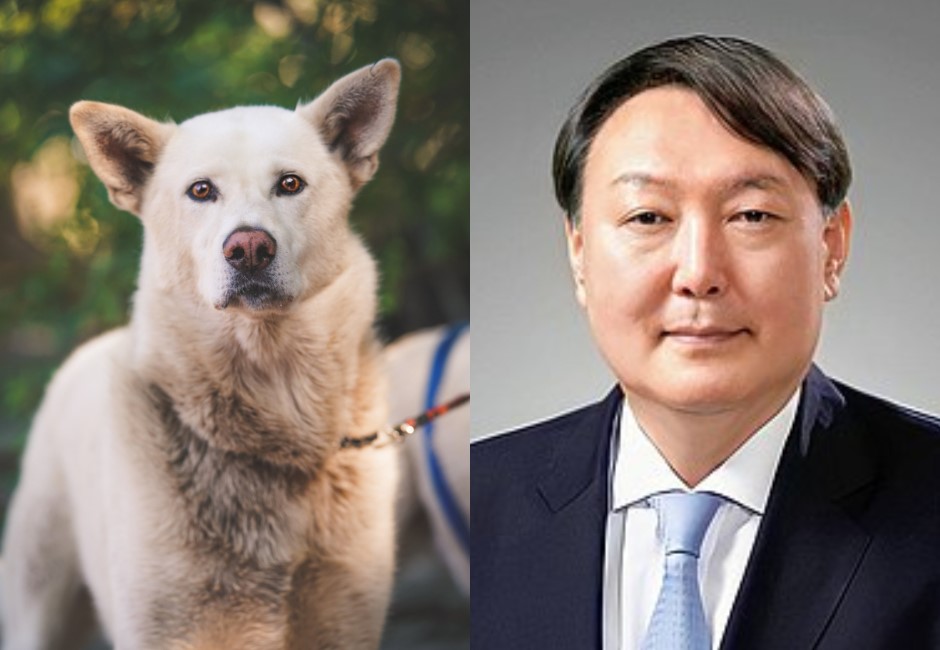 「吃狗肉不等於虐待動物」南韓總統候選人辯論發言遭炮轟