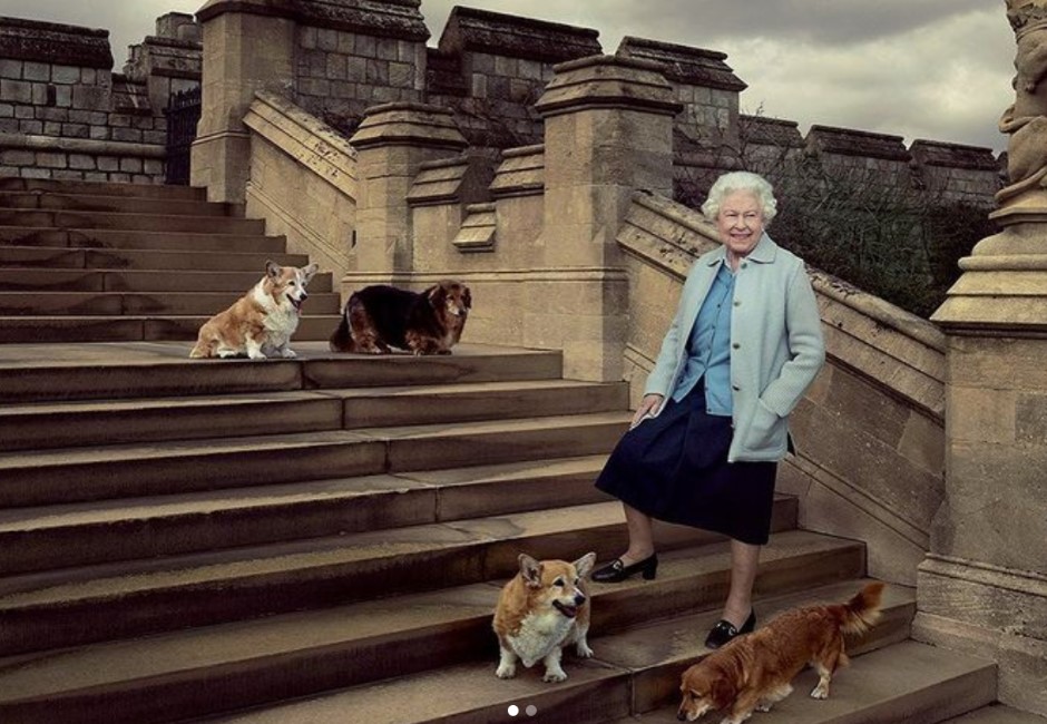 一生養過30多隻狗！英國女王深陷柯基魅力 愛狗成痴事蹟曝光