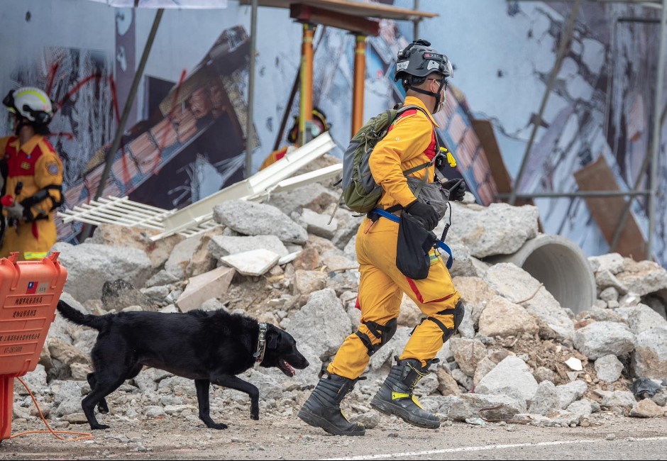 台灣搜救犬遠赴土耳其救災「只能坐貨艙」？獸醫師心疼曝原因：仍把搜救犬當工具