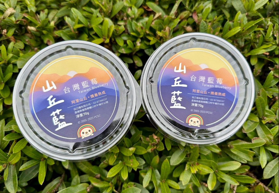 台灣種出自己的藍莓了！美味輾壓進口貨　正港歹丸莓少女「山丘藍」開賣資訊曝光