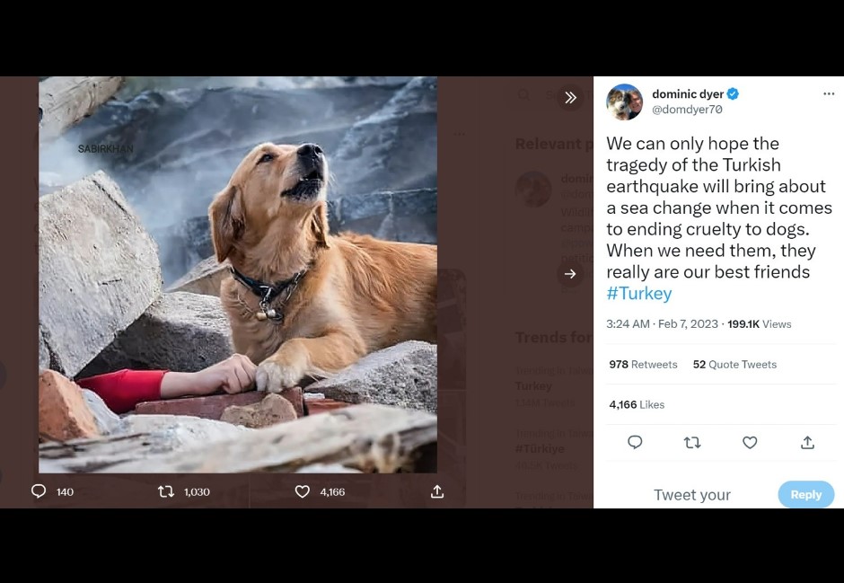 土耳其地震搜救犬「牽手」伴受困者　感人照片其是誤傳？真相曝光網傻眼了