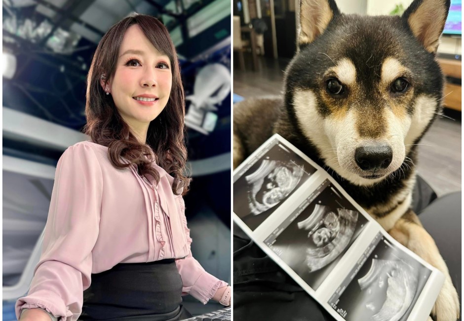 41歲美女主播吳宇舒「曬5個月孕肚」議員鍾沛君：希望孩子像媽 
