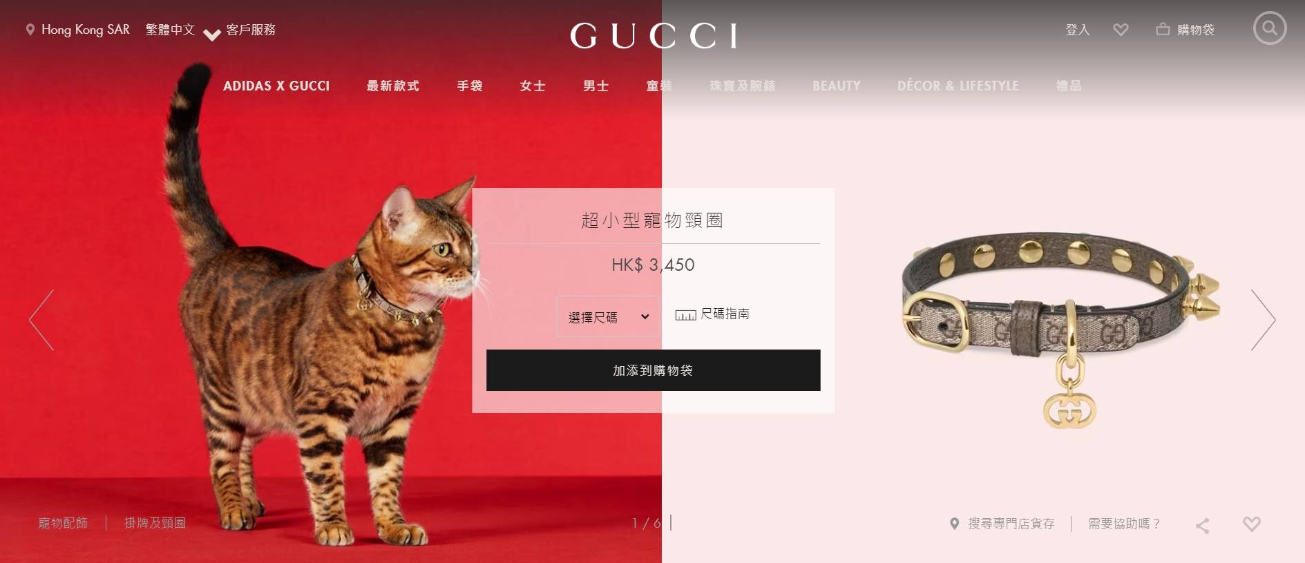 Gucci推出寵物系列　打造奢華毛宇宙