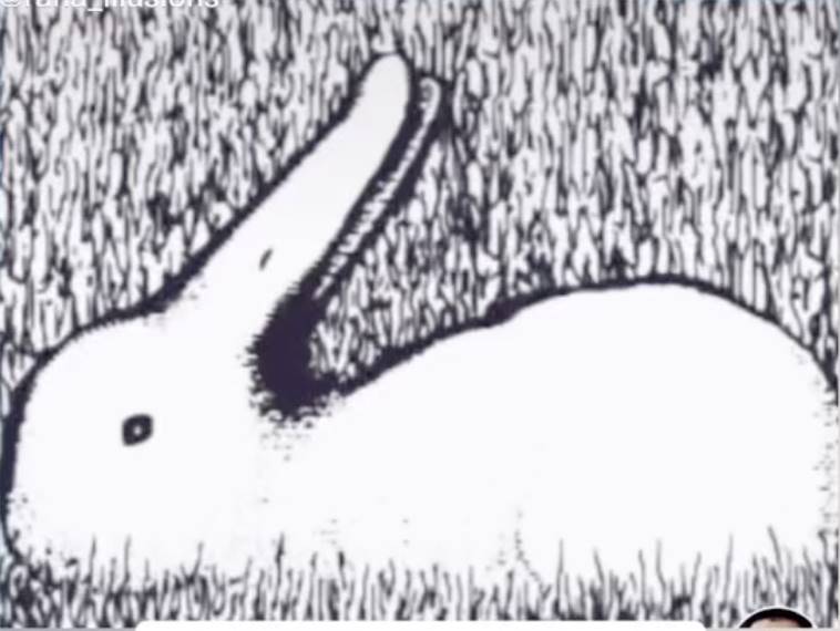 兔子與鴨子視覺錯覺圖
