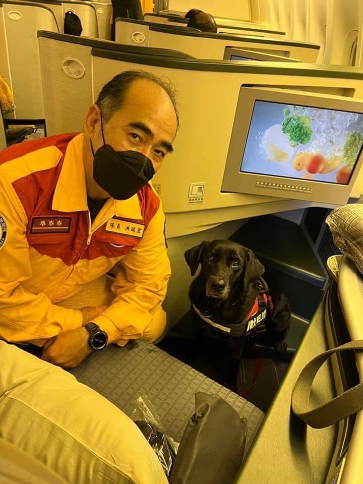 台灣搜救犬Melody前往土耳其救災搭乘商務艙。