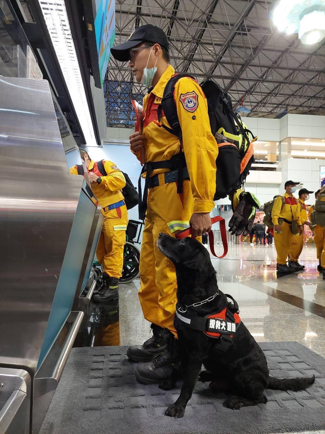台灣搜救犬腿腿前往土耳其救災搭乘商務艙。