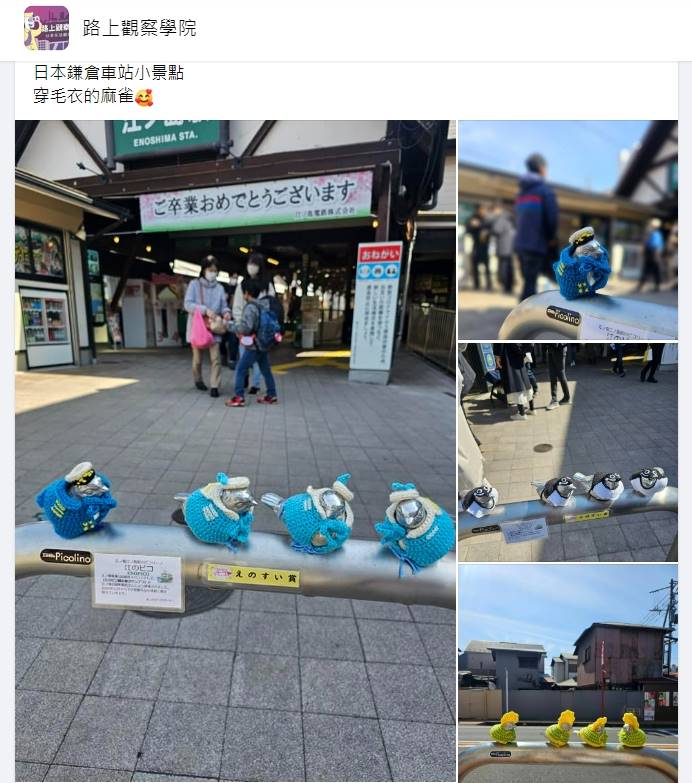 網友在臉書社團貼出「江之島小麻雀」的可愛照片