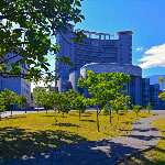 慈濟大學