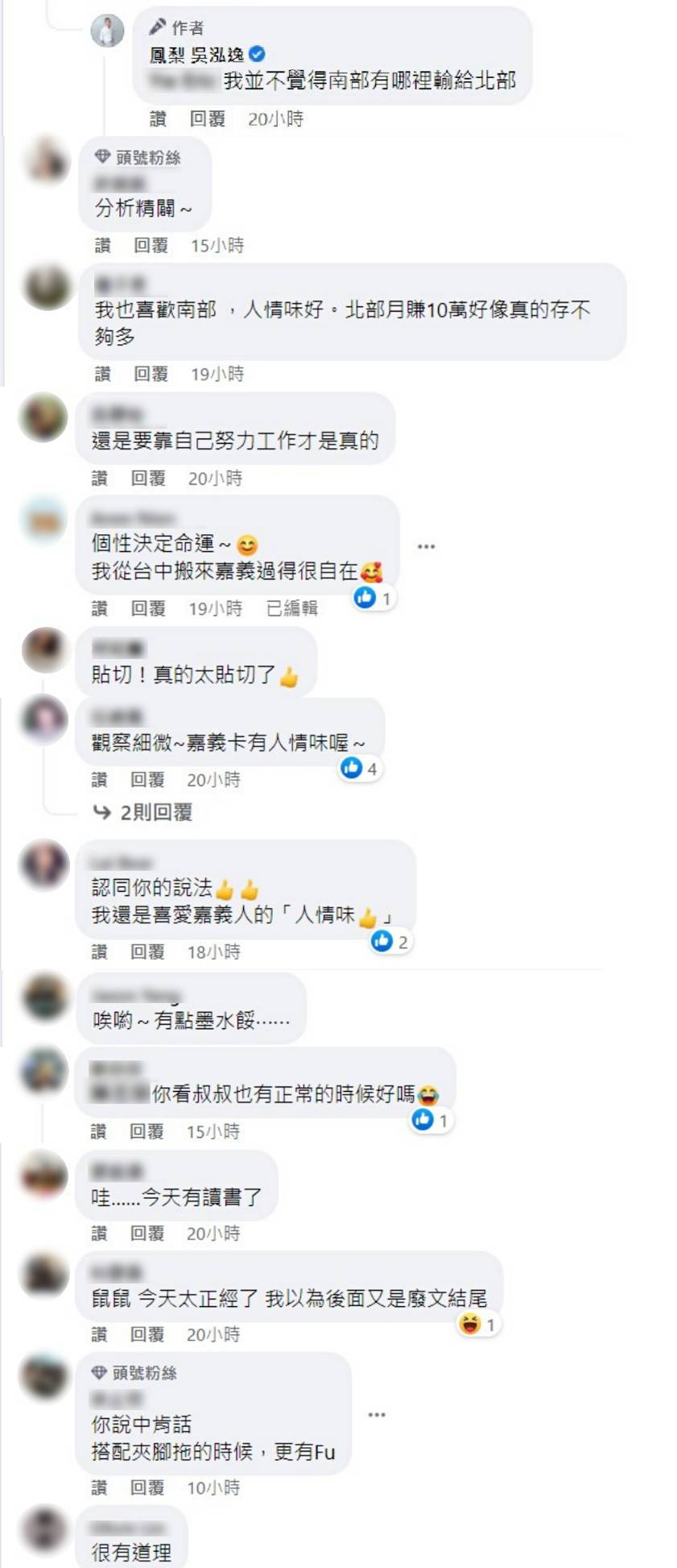 鳳梨長文引網共鳴：我也喜歡南部！