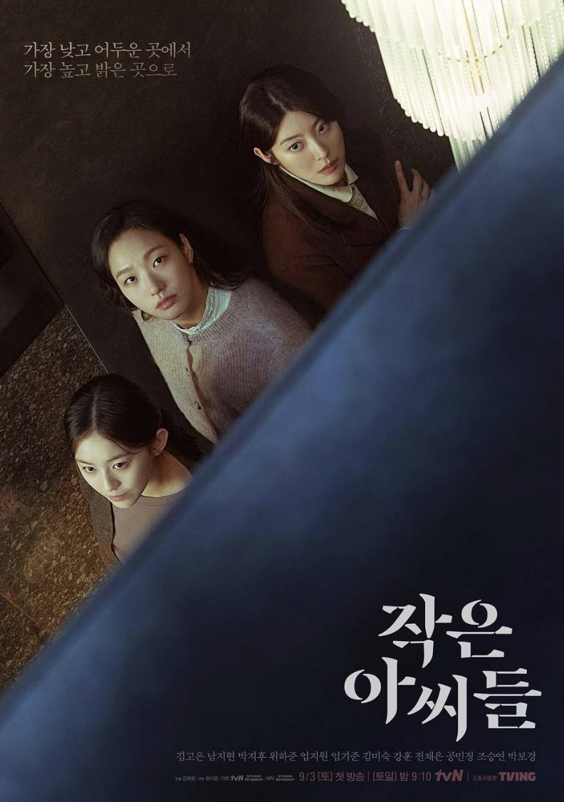 金高銀最新作品《小女子》被韓國網友指出疑似抄襲日本資生堂的展覽海報。