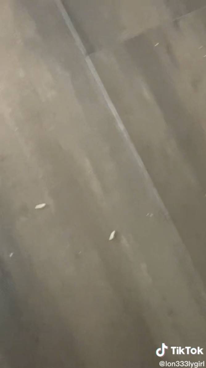 國外一名女子在網上拍片表示，在家中天花板的出風口已經連續六天都掉下數百隻蛆蟲，因為受不了所以去詢問，結果竟意外發現樓上鄰居已經死亡。