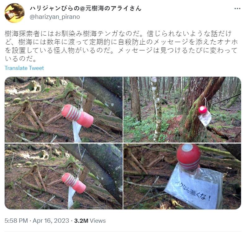 網友在推特上分享掛在青木原樹海中的飛機杯
