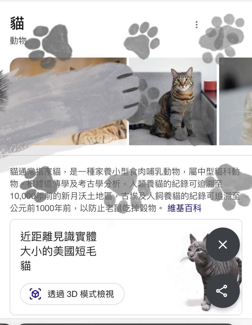Google點擊貓聲音時會發出叫聲和顯示掌印，也可查看貓咪3D模式。