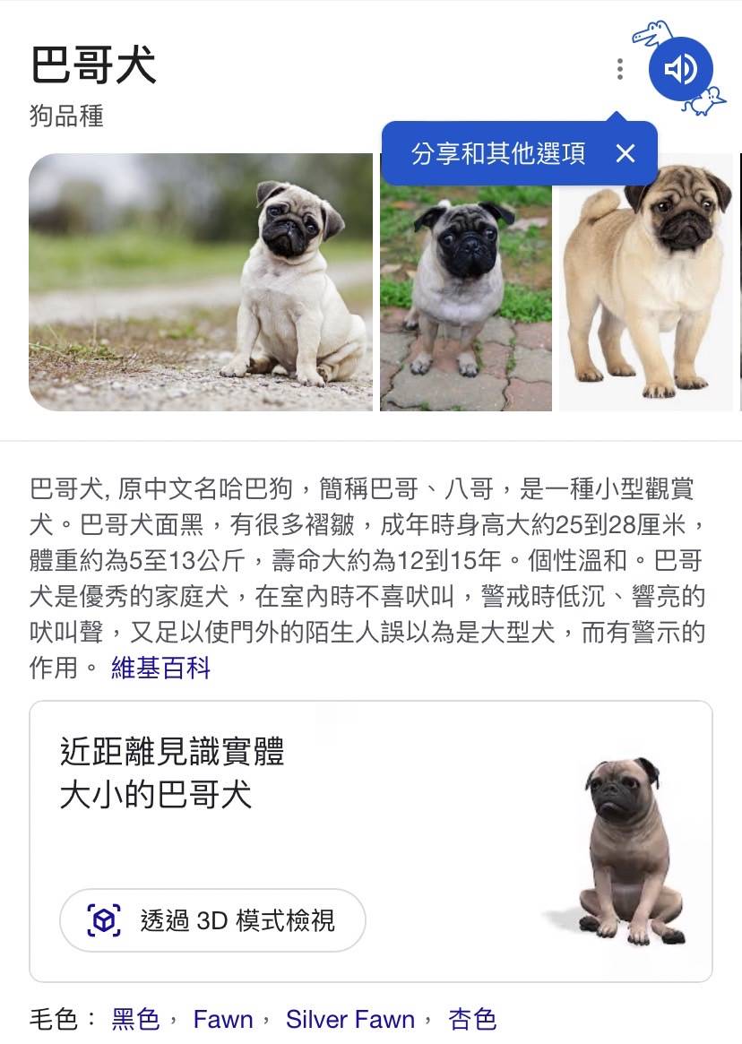 Google顯示巴哥犬叫聲及3D模式。