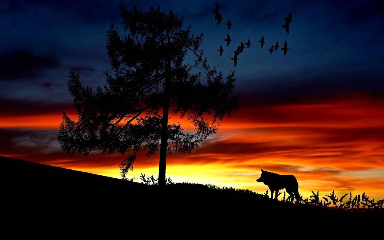 「狗和狼的時間」指的是夕陽西下時分，分不清走過來的動物是狗還是狼